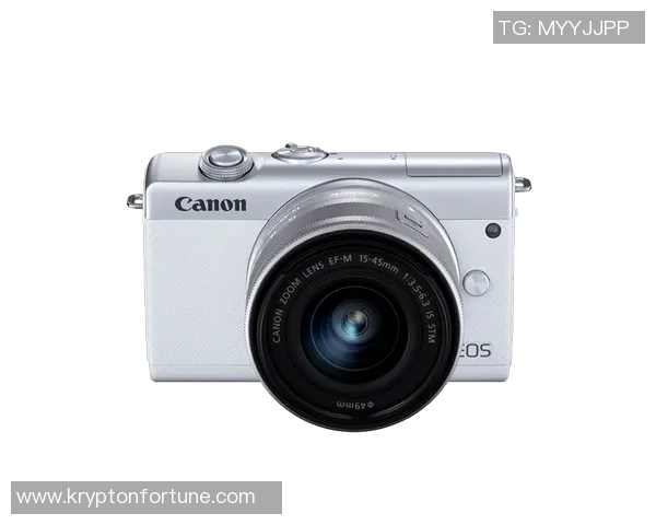 新澳天天开奖资料大全三中三助你轻松掌握彩票动态与中奖秘籍